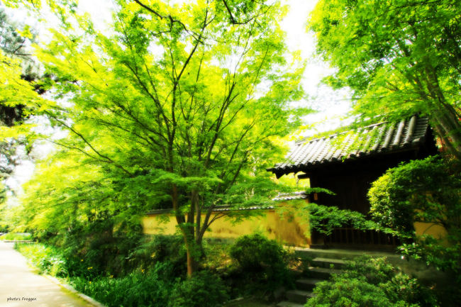 三暁庵あたり。