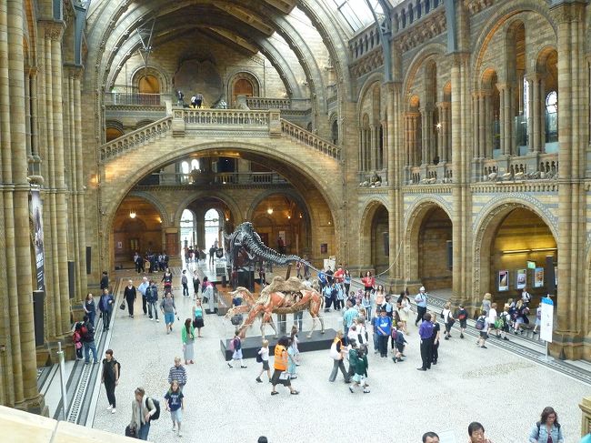 せっかくなので、隣の自然史博物館へと。<br />隣　　といっても、Ｖ＆Ａもこちらも、建物が大きすぎて、<br />隣が遠いーーーー(ToT)<br /><br />しかも、コチラは、子供たちがわんさかいますｗｗｗ<br />賑やか〜。<br />いきなり、客層ががらりと変わり、熱気が違います（笑）<br /><br />恐竜ものちらほら見て、早々に退散。<br /><br />コチラはセキュリティーチェックがありました。<br />「はさみ持ってない？」みたいな。。
