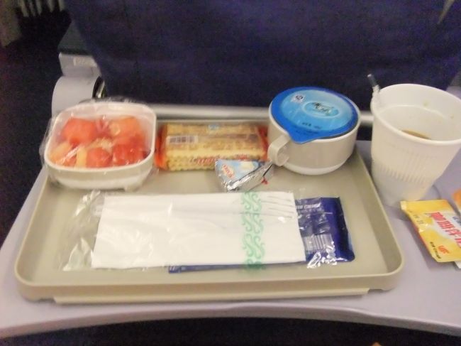 今回、行きも帰りもなぜかフライトマップが見られなくてかなり辛かった！泣<br /><br />９時間程で到着。<br />入国はかなりすいてて、一瞬で抜けた。