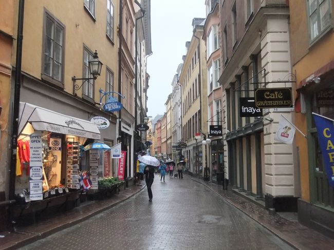 このままソーデルマルムまで歩こうかな。