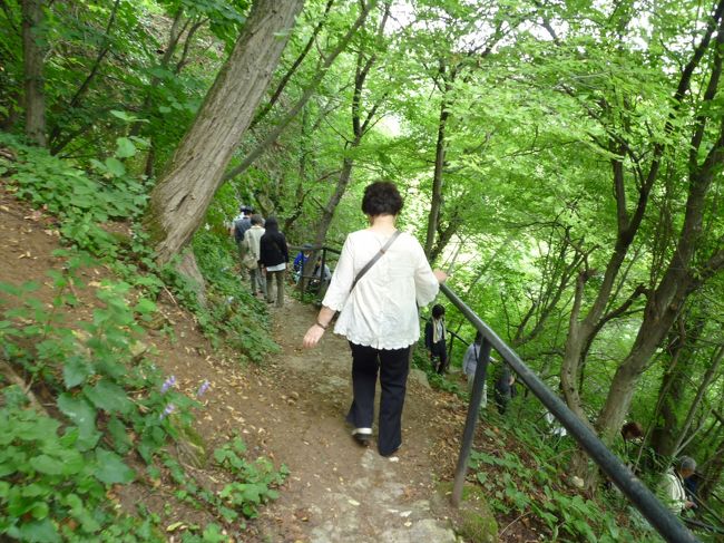 山道をおりて、戻ります。