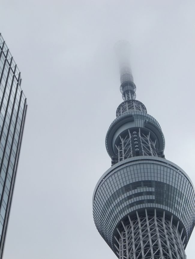 やっぱりすごい 東京スカイツリー ソラカラポイントを目指す空中散歩 浅草 東京 の旅行記 ブログ By がりさん フォートラベル やっぱりすごい 東京スカイツリー ソラカラポイントを目指す空中散歩 浅草 東京 の旅行記 ブログ By がりさん フォートラベル