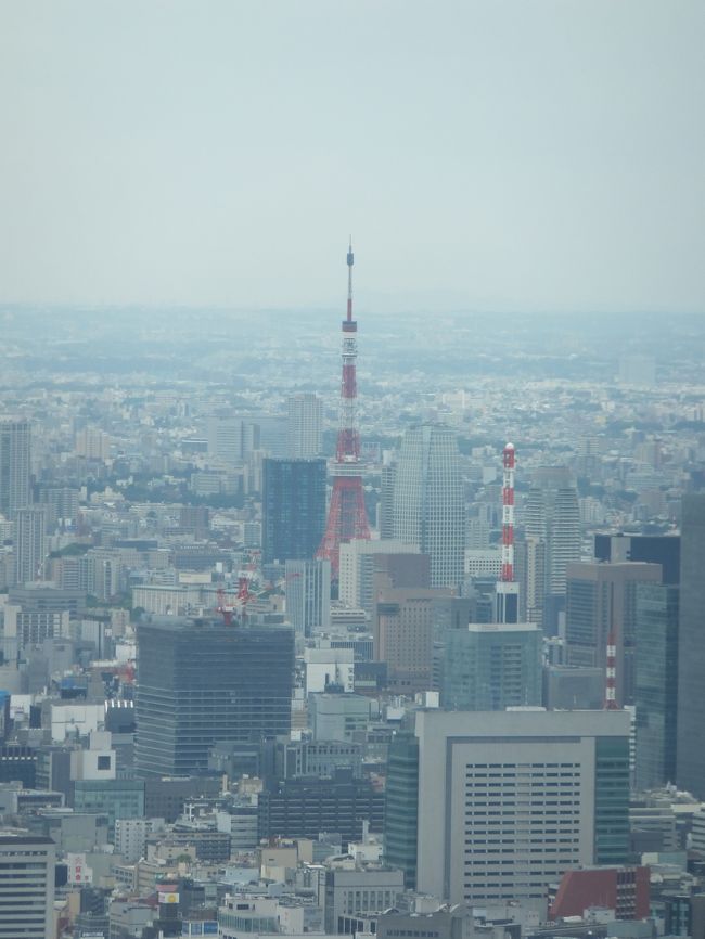 やっぱりすごい 東京スカイツリー ソラカラポイントを目指す空中散歩 浅草 東京 の旅行記 ブログ By がりさん フォートラベル やっぱりすごい 東京スカイツリー ソラカラポイントを目指す空中散歩 浅草 東京 の旅行記 ブログ By がりさん フォートラベル