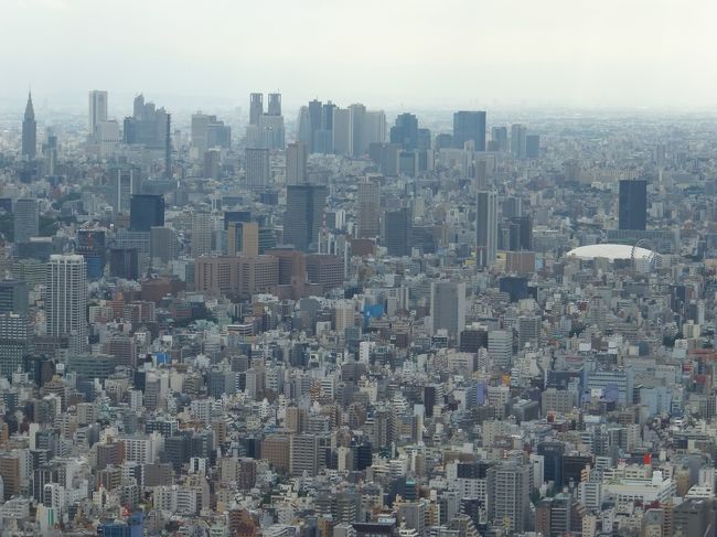 やっぱりすごい 東京スカイツリー ソラカラポイントを目指す空中散歩 浅草 東京 の旅行記 ブログ By がりさん フォートラベル やっぱりすごい 東京スカイツリー ソラカラポイントを目指す空中散歩 浅草 東京 の旅行記 ブログ By がりさん フォートラベル