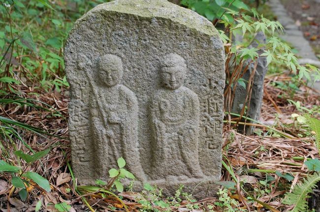 いい表情です。