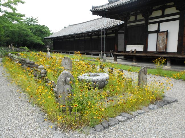 石仏と花（ハルシャギク）