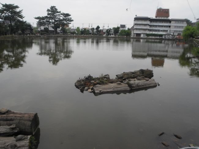 猿沢池<br /><br />亀がたくさんいます。