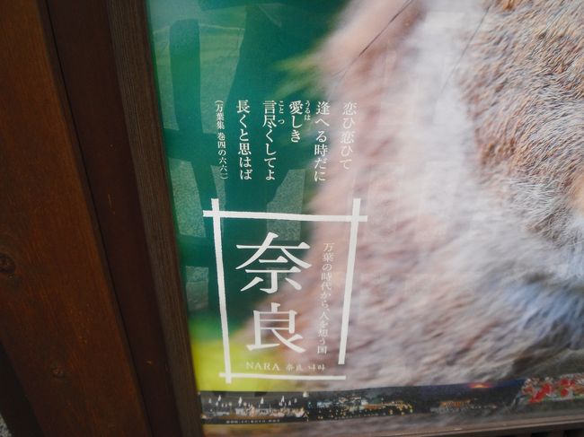 万葉の浪漫ですね。