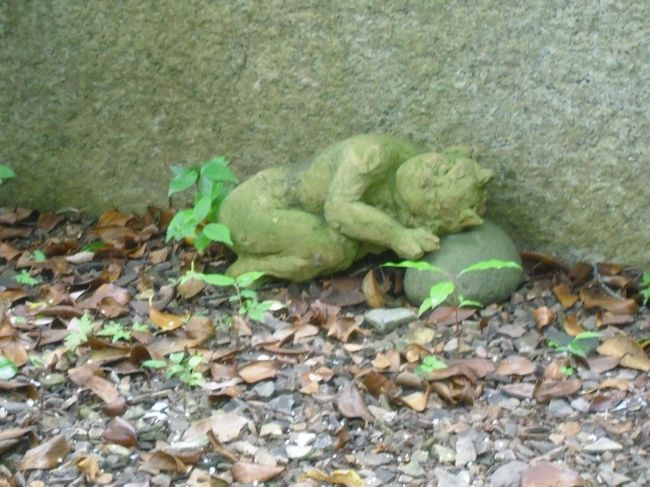 鬼さん！見〜つけた！<br /><br />休んでおられました。