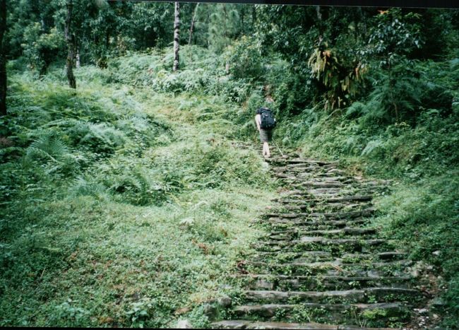 次第に山道は険しくなる。<br /><br />そして、<br />足元には黒いのが・・・はねている。<br /><br />「ひゃっほう♪」と言わんばかりに<br />軽妙なリズム。<br /><br />それは、ヒル。<br />１万や２万匹どころではない。<br /><br />そして、足の指の付け根からかすかな痛み。<br />赤みを帯びた指先。<br /><br />ガイド氏のアドバイスで<br />サンダルに履き替えたのが間違いだった。<br /><br />相方さんはというと、<br />ワーやらギャーやら楽しそうだ。<br />まったく体力の無駄である。