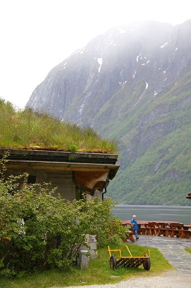 屋根には保温の為、草が生えていました。