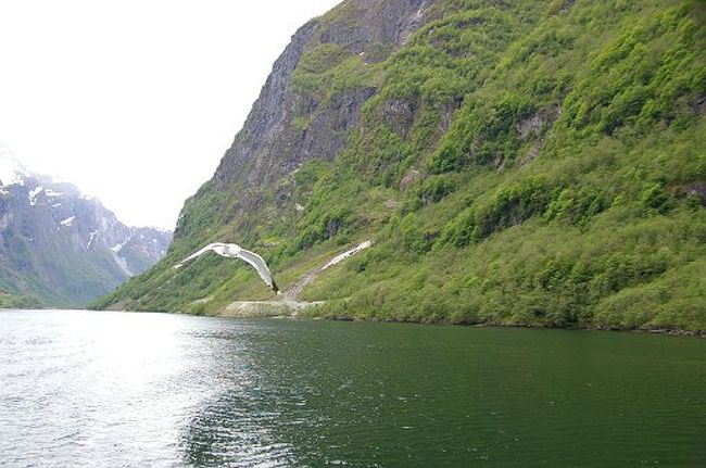 ソグネフィヨルド