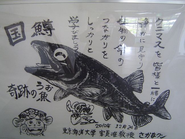 国鱒<br />仙北市役所に飾られてました。
