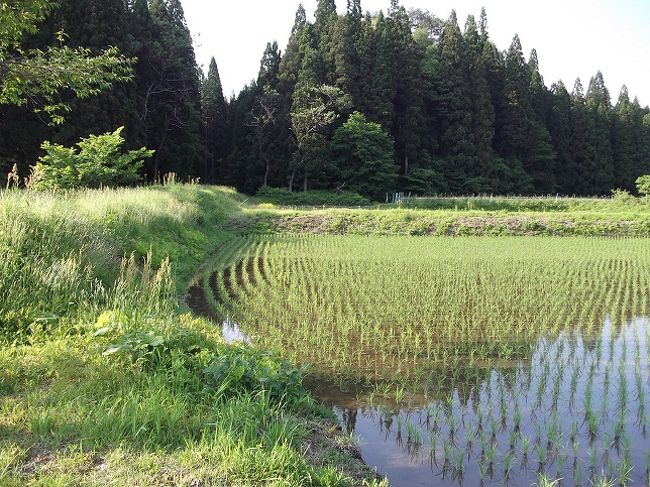 辰子姫生誕の地　風景