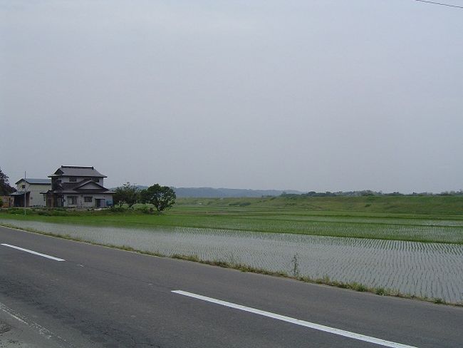 旧南外村　木直