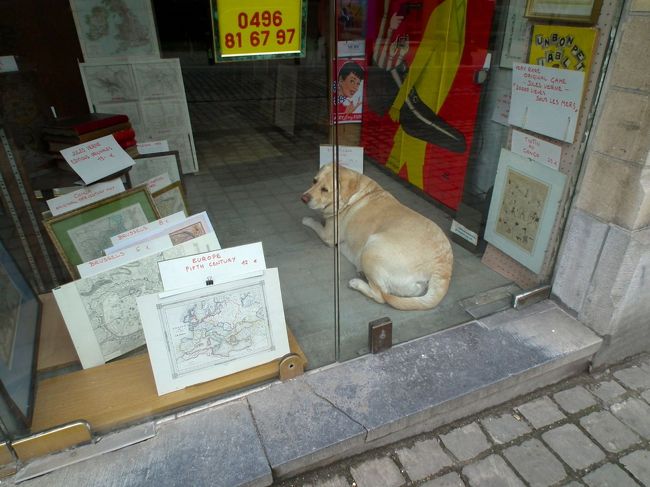 　お店のあるところまで降りてきたら、あれ？ここでも犬も一緒にお店に出てきているんだったです。