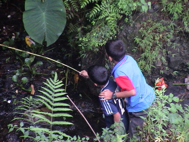 子供たちが遊んでる。<br /><br />平和だっ！