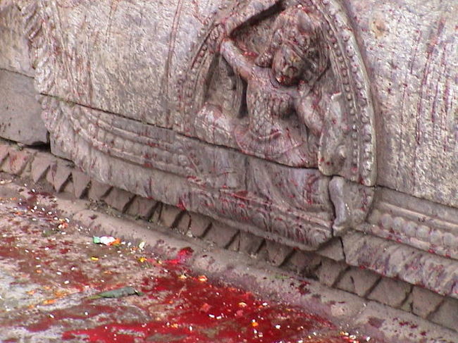 石畳ににじむ鮮血。<br /><br />ヤギ様は神様に捧げられた。<br /><br />お悔み申しげます。