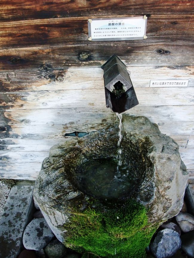 　これは醒井の水の宿駅にある「居醒（いざめ）の清水」です。地蔵川の源泉で、昔、伊吹山の荒ぶる神を討伐しようとして敗れ、高熱を出した日本武尊が、この泉で熱をさましたのでこの名がついたのだとか。<br />　私も飲んでいきます。おいしです。