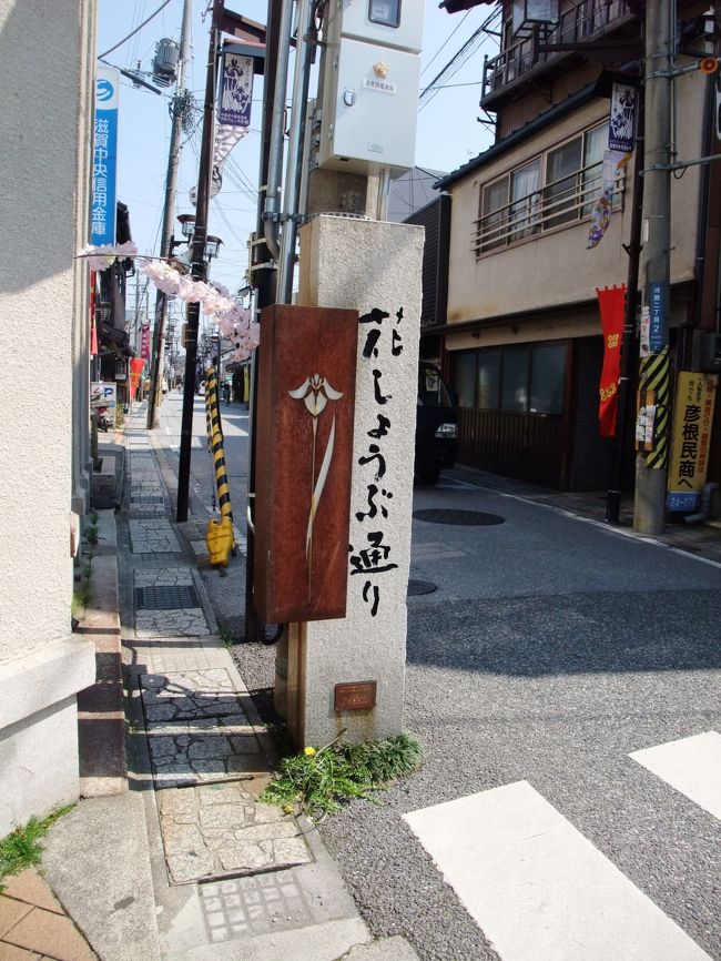 　「リバーサイド橋本通り」を彦根駅方向に歩いて行くと、交差点で「はなしょうぶ通り」の道標と町並みが見えました。ちょっと行ってみます。<br />　この「花しょうぶ通り」は、戦国をテーマに街づくりに取り組んでいるのだとか。いしだみつにゃん、しまさこにゃんを生み出したなかなかユニークな商店街のようです。