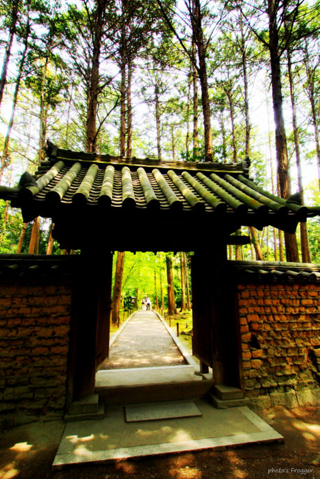 こちらが開山御廟への入り口。<br />一気に雰囲気が変わります。