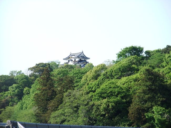 　彦根城は井伊家３５万石のお城です。姫路城、松本城、犬山城とともに国宝に指定されています。<br />　彦根城は２度行っているので、今回はここまでにして、引き返します。