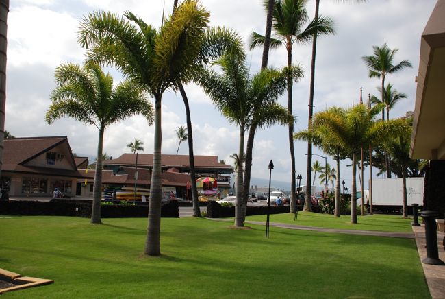 コナの町を見ながらツアーの迎えをまちました