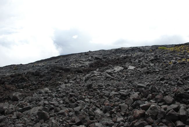 火口のあとは溶岩を見学<br /><br />細かいこう言う感じもあるし
