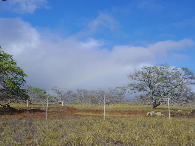 パラセーリングの後は車で移動<br /><br />