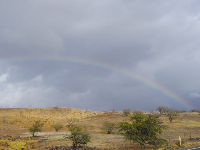 キングカメハメハ像前でランチしてたら<br /><br />大雨になってしまい<br /><br />引き返すことに・・・<br /><br />でもそのおかげで綺麗な虹が！！！