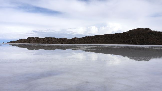 インカワシともお別れ。<br />サボテンは70％が水分って聞いてたけど、塩分濃度が高くても生きられるんやとなぜか感動。