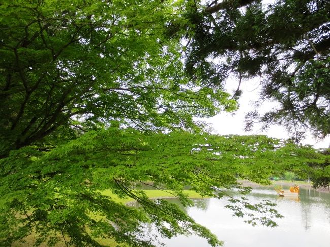 行こう 新緑の東北旅 ２ 世界遺産 中尊寺 毛越寺 美しい御朱印とお守り 平泉 岩手県 の旅行記 ブログ By みかりさん フォートラベル