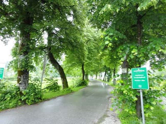 のどかな通りを行くと教会へ