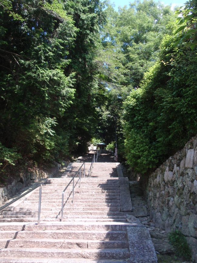 ここをテクテク登っていきます。