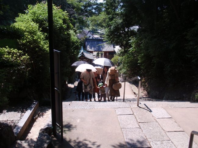 おチビは１歳半。<br />階段は両手を持ってもらって登りますが<br />平らなところでは自分だけで歩きたいので<br />手を振り払います。<br /><br />ばぁばが何人もいるみたいだ…。