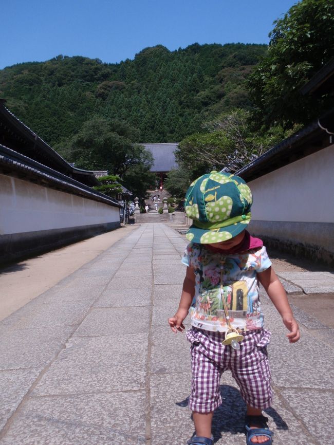 階段を登りきると、<br />本堂へまっすぐ参道がのびています。<br /><br />おチビはチュッチュをぶら下げていながら<br />イッチョマエです。