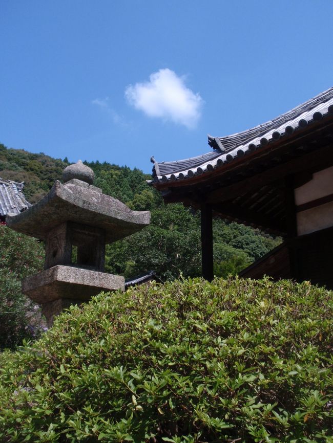 それにしても私が来るときはいつも快晴。