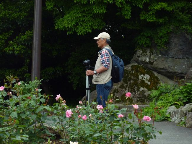 こちらにも、学者先生がおられました。<br /><br />植物の生態を研究されておられるんでしょうね。