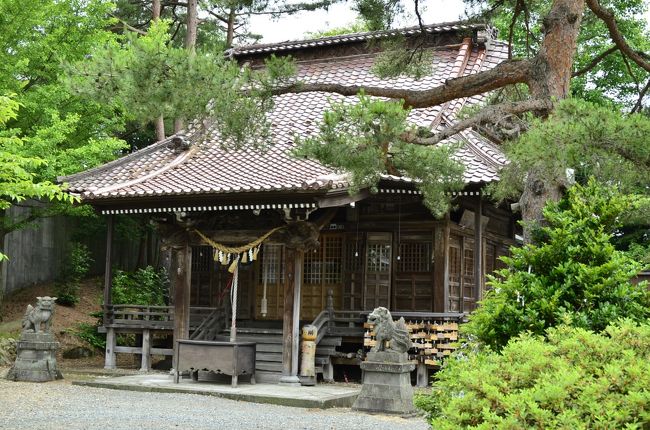 深緑に囲まれた立派なお社が