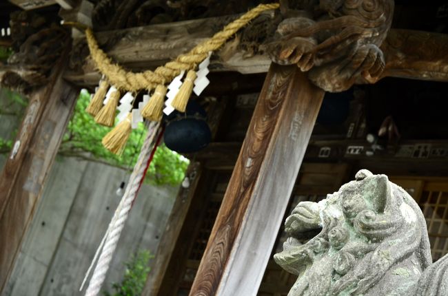 神様さん神様さん、はいち〜ずv