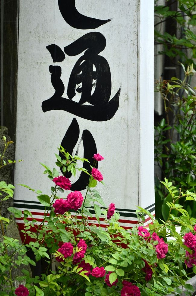 ここは「こけし通り」と呼ばれているみたいですね<br />お花もきれい。。。