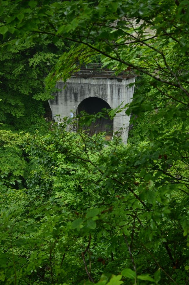 鳴子峡のトンネル上<br />陸羽東線は列車の本数が極端に少ないので、写真を撮るのも痺れまくり〜