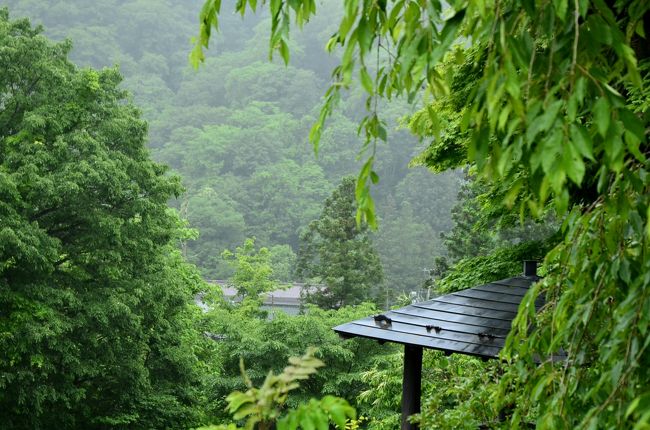 温泉上がりに森林浴