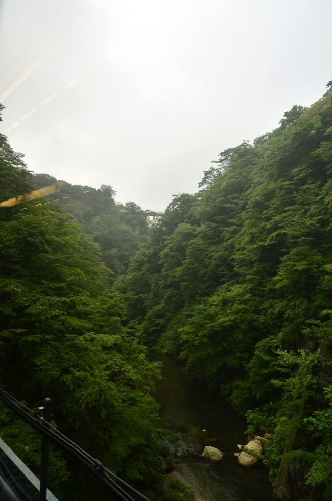 快速リゾートみのり号の車内から鳴子峡を見納め