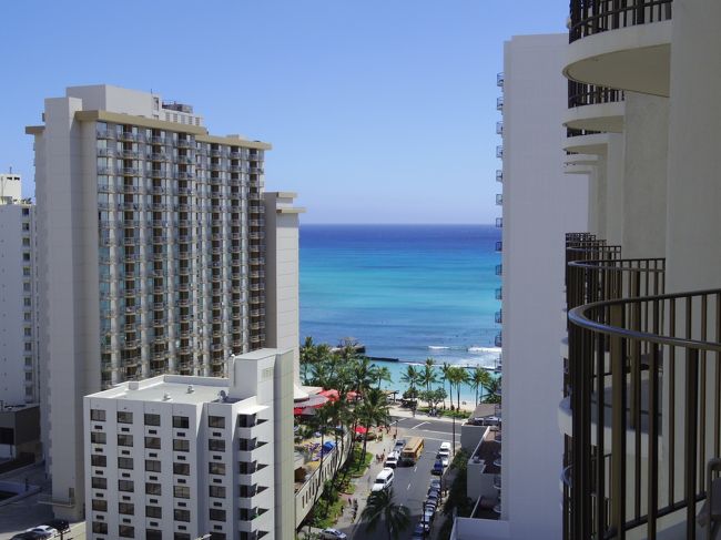 お部屋からの眺め