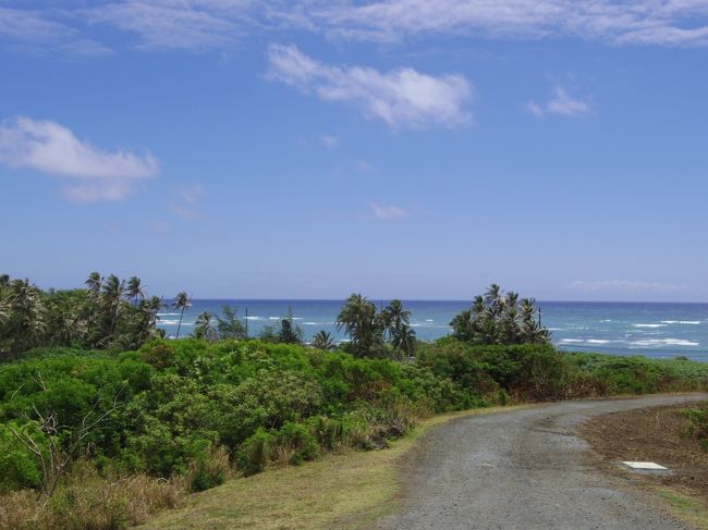 バギーはこんな道を走って行きます。<br />