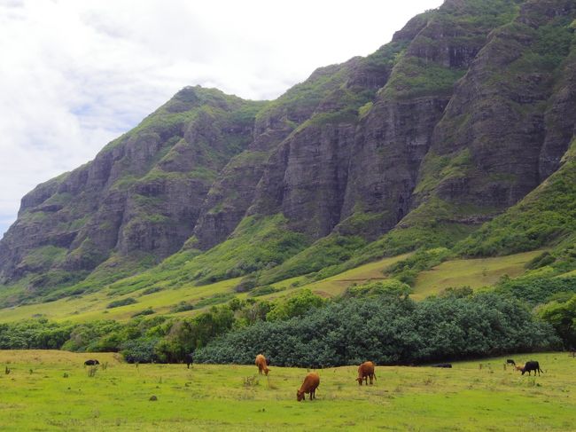 やっぱり最高！<br /><br />この景色<br />