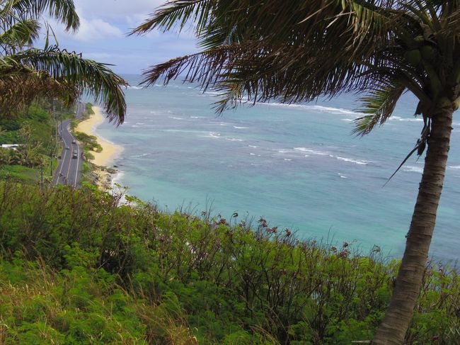 バギーとは違う道を進みます