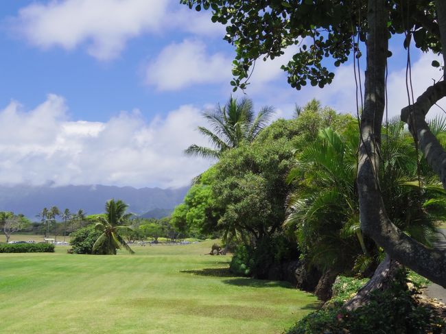 お昼を食べる場所からの景色<br /><br />癒されます