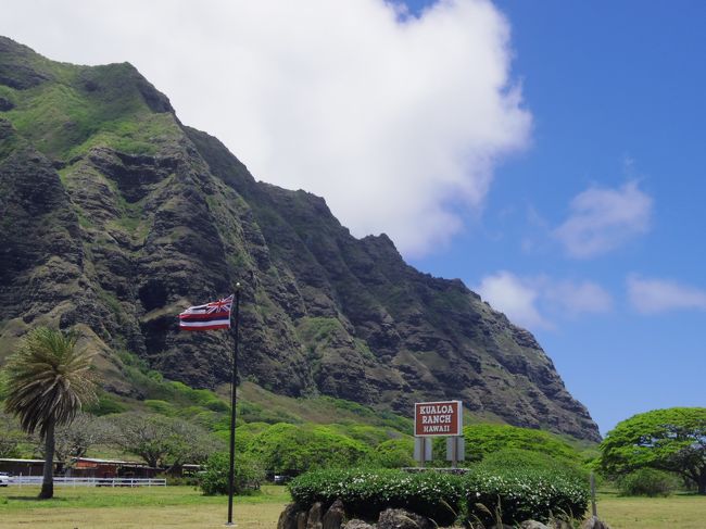 ワイキキへ向かうバスを待つ間に<br /><br />撮影タイム